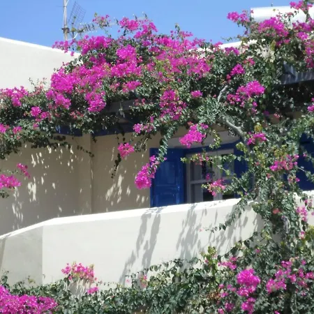 Apartment Santorious Flower Covered Megalochori (Santorini)