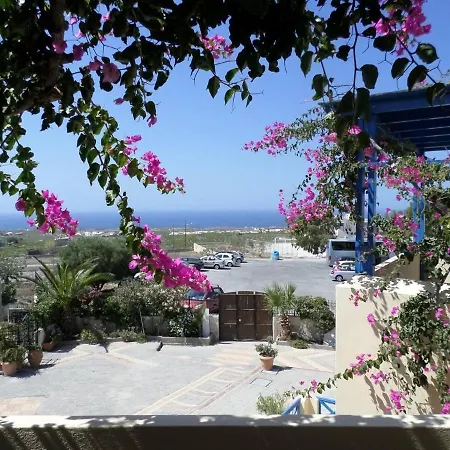 Santorious Flower Covered *